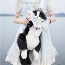 slider-image